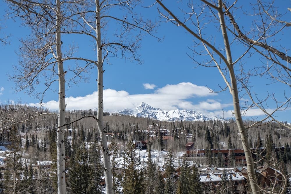 Mountain view
