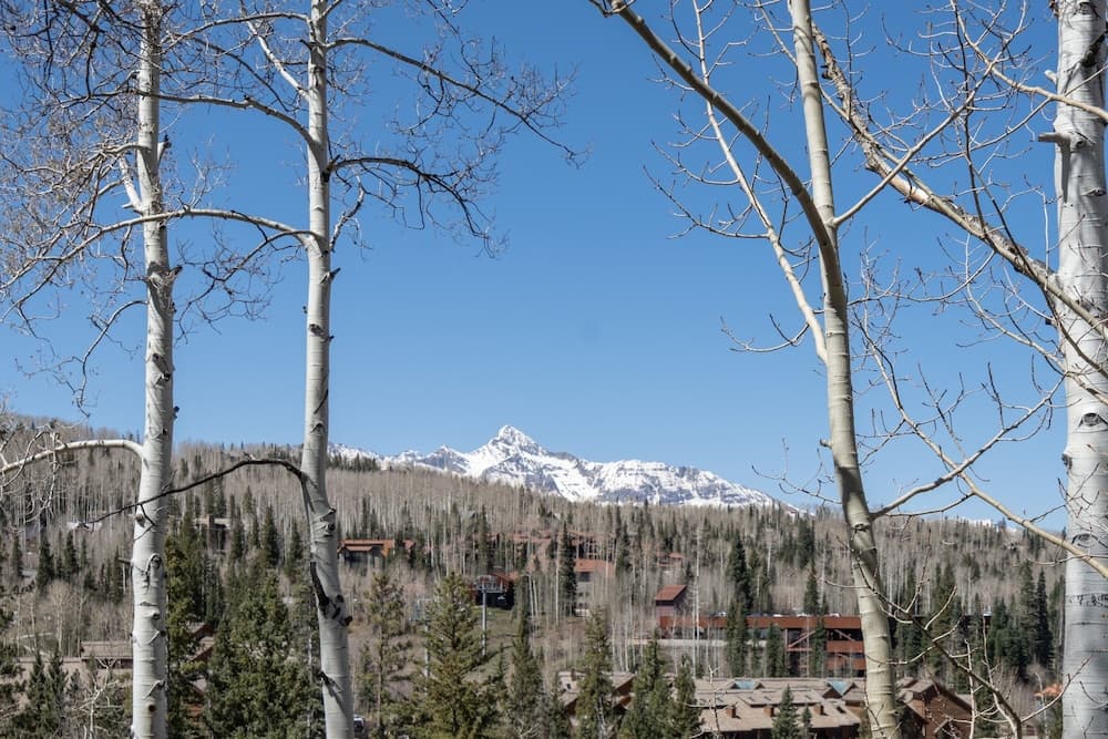 Mountain view