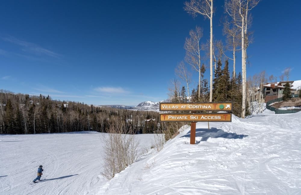 Skiing