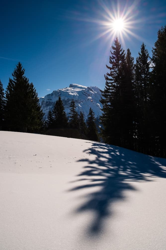 Snowshoeing