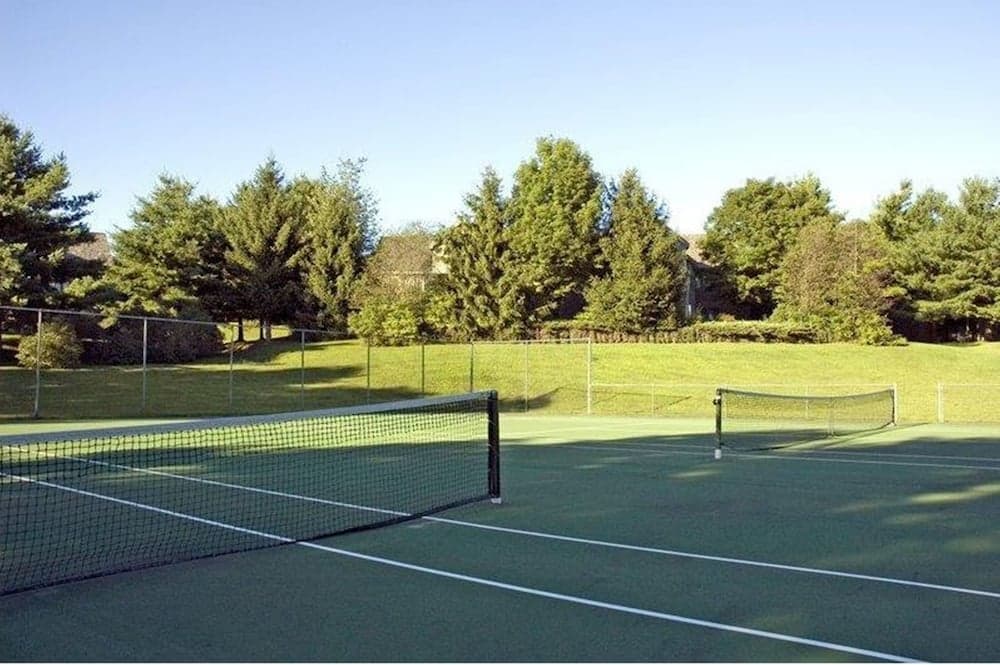 Tennis court