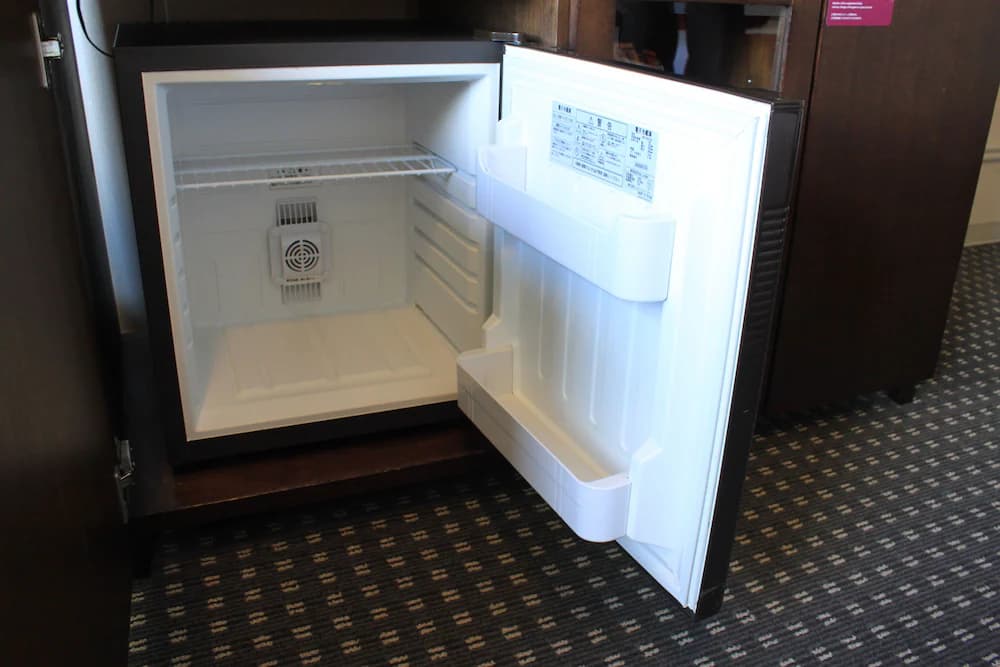 Mini-refrigerator