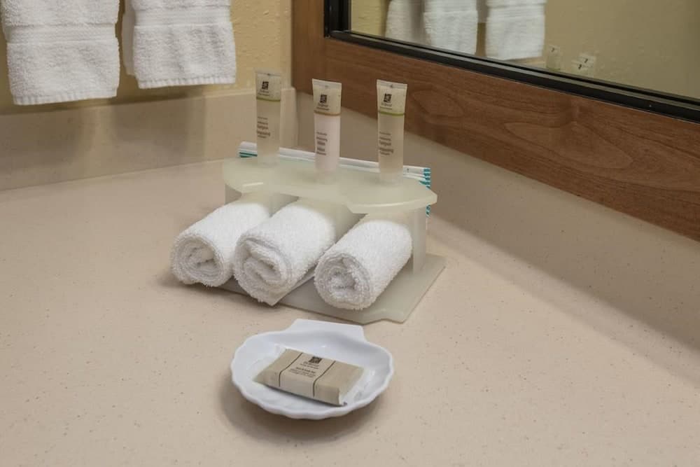 Bathroom amenities