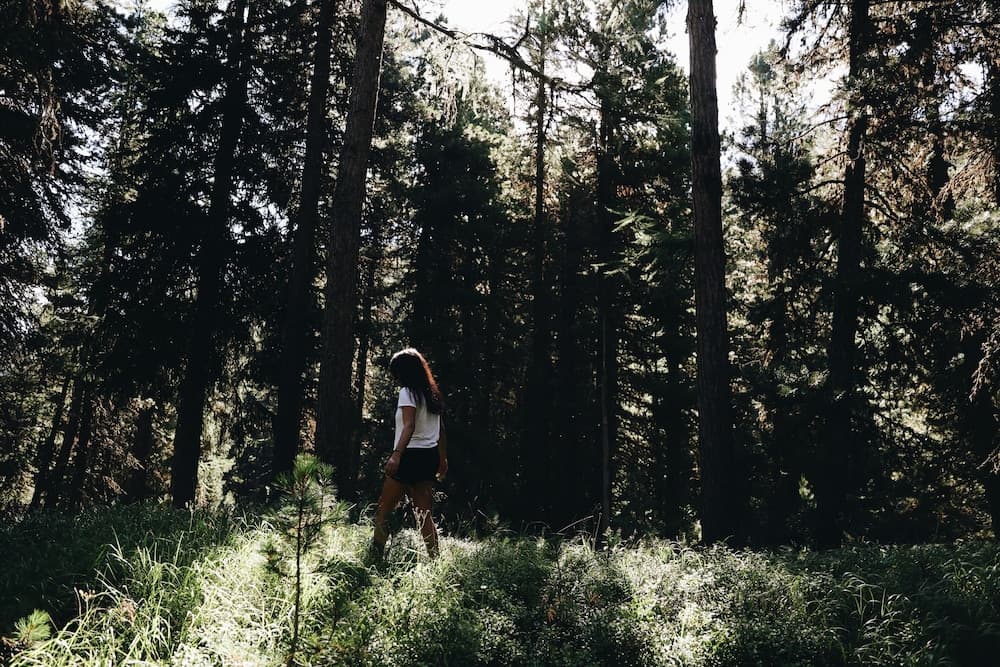 Hiking