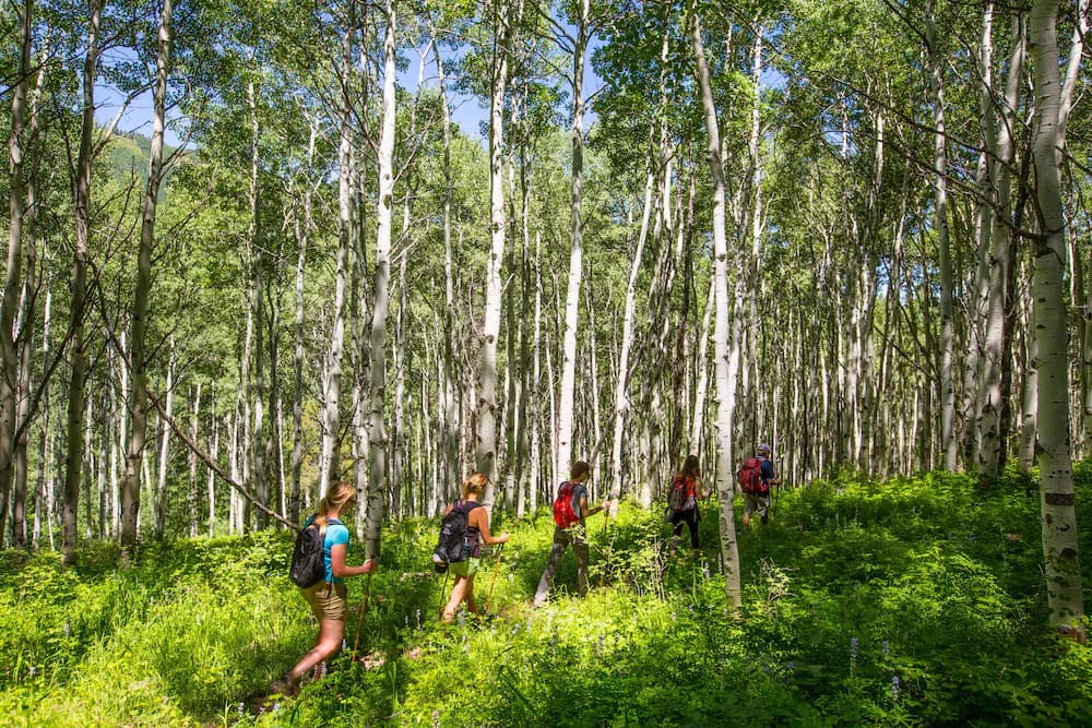 Hiking