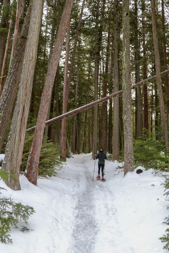 Snowshoeing