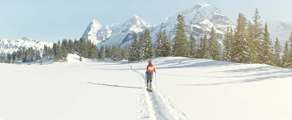 Snowshoeing