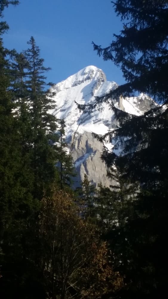 Mountain view