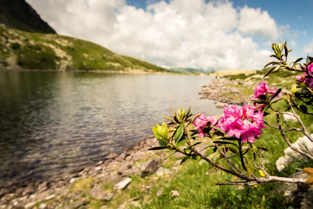 Lake