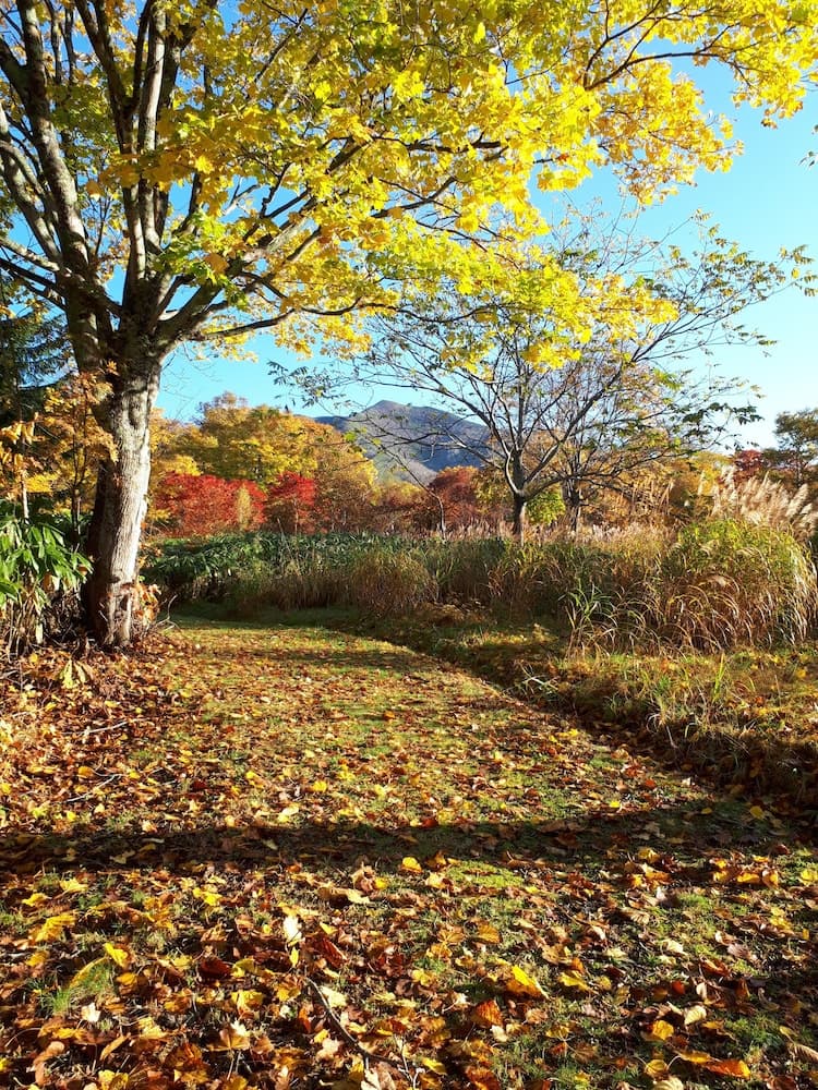 Land view from property