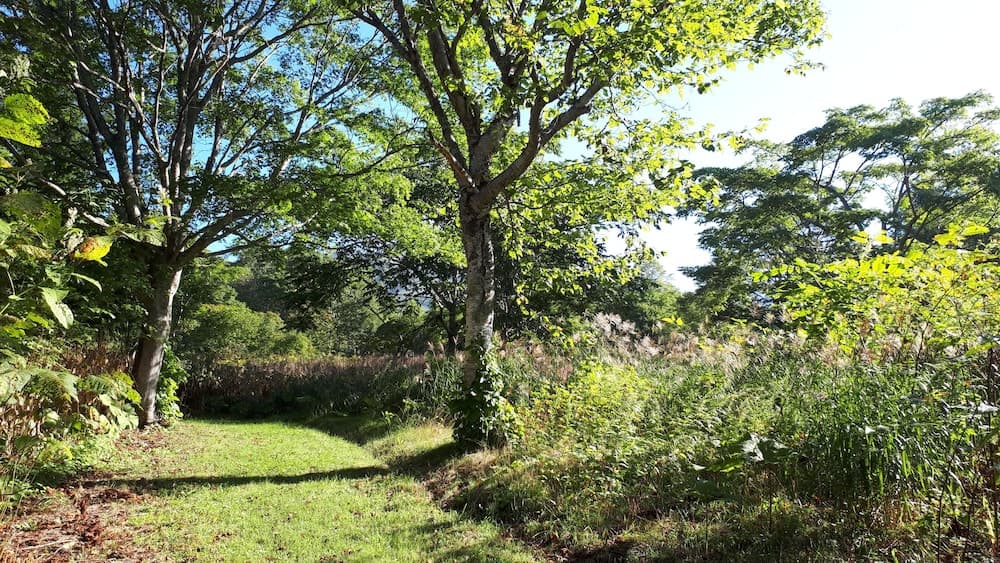 Land view from property