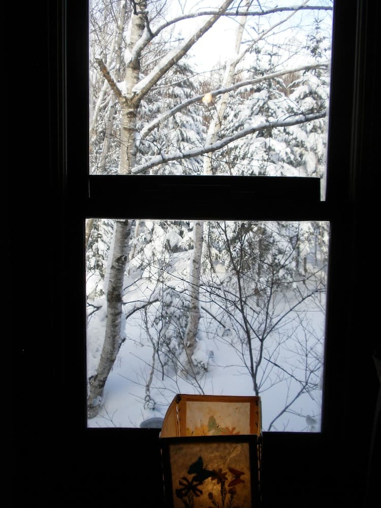 View from room
