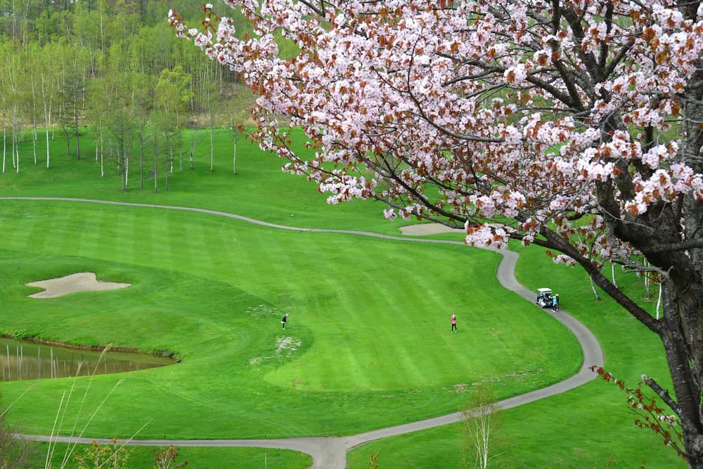 Golf