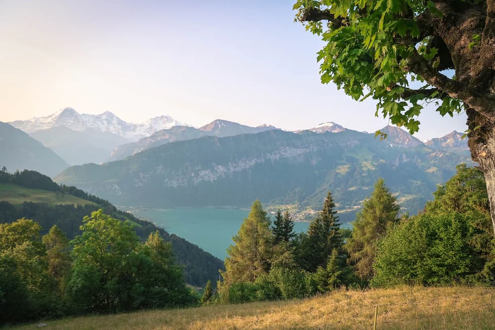 View from property