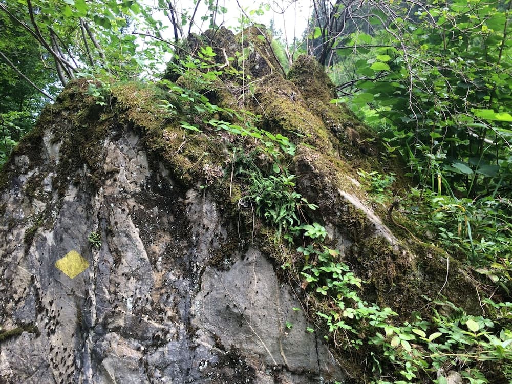 Hiking
