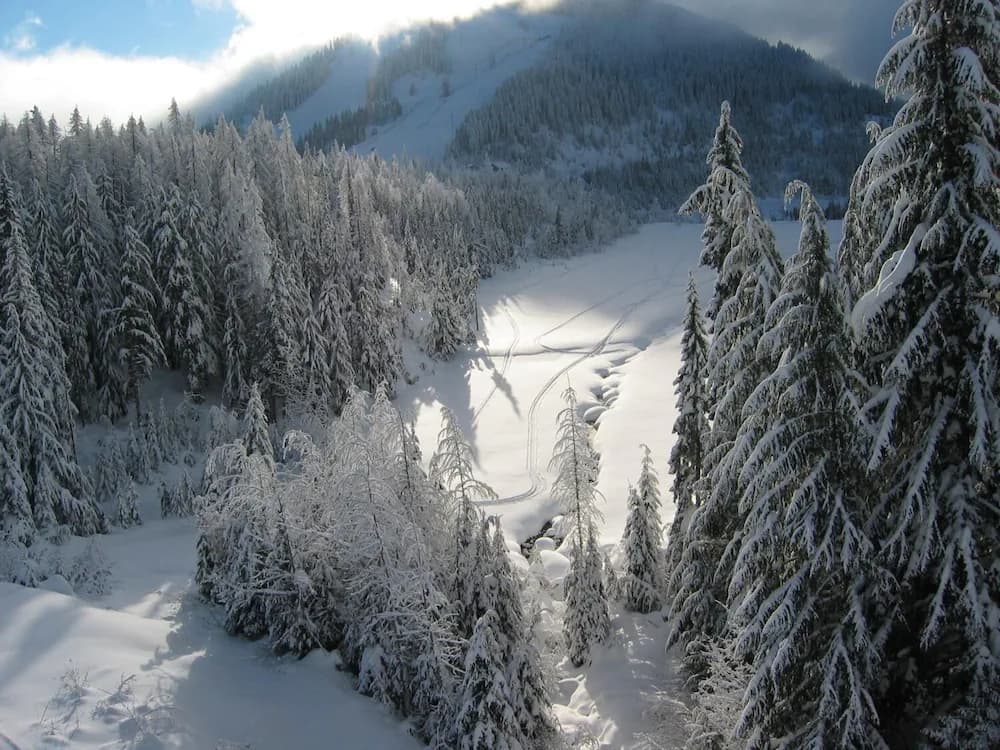 Snow and ski sports