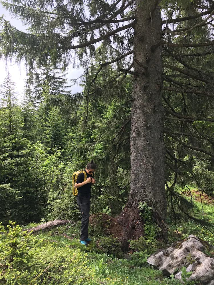 Hiking