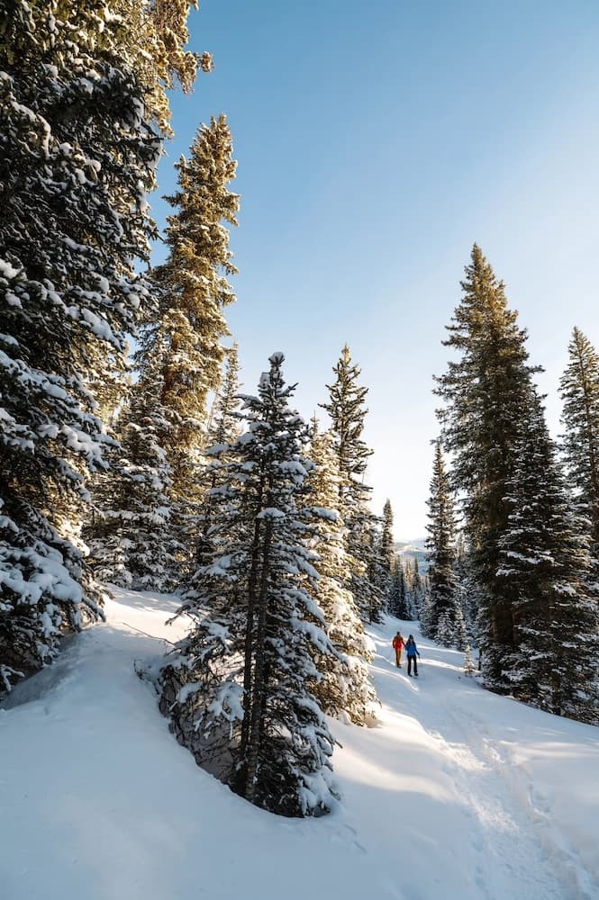 Snowshoeing