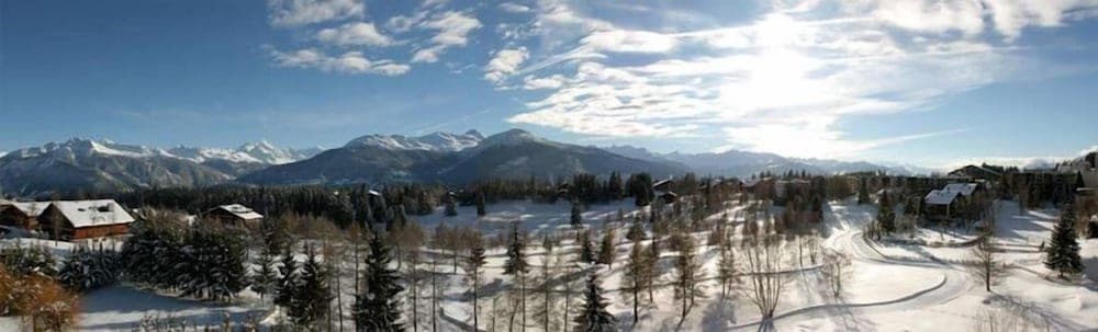 Snowshoeing