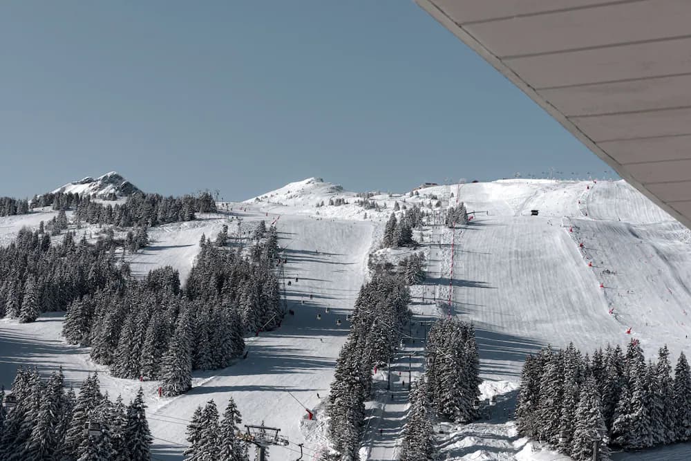 Snow and ski sports