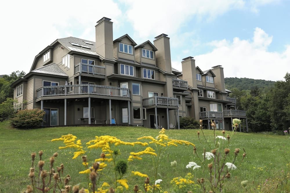 Primary image