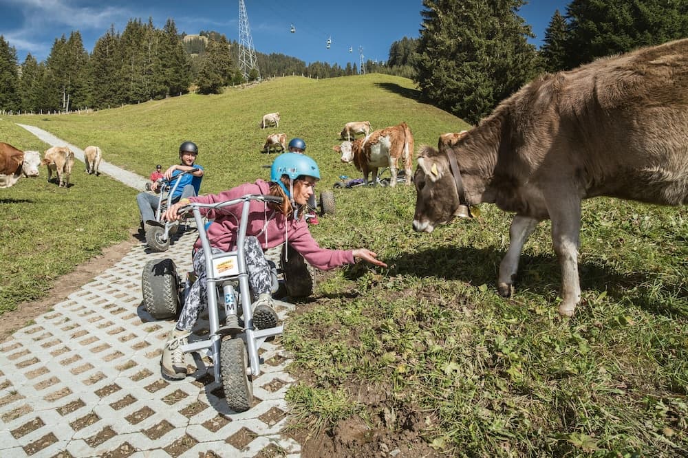 Children's activities