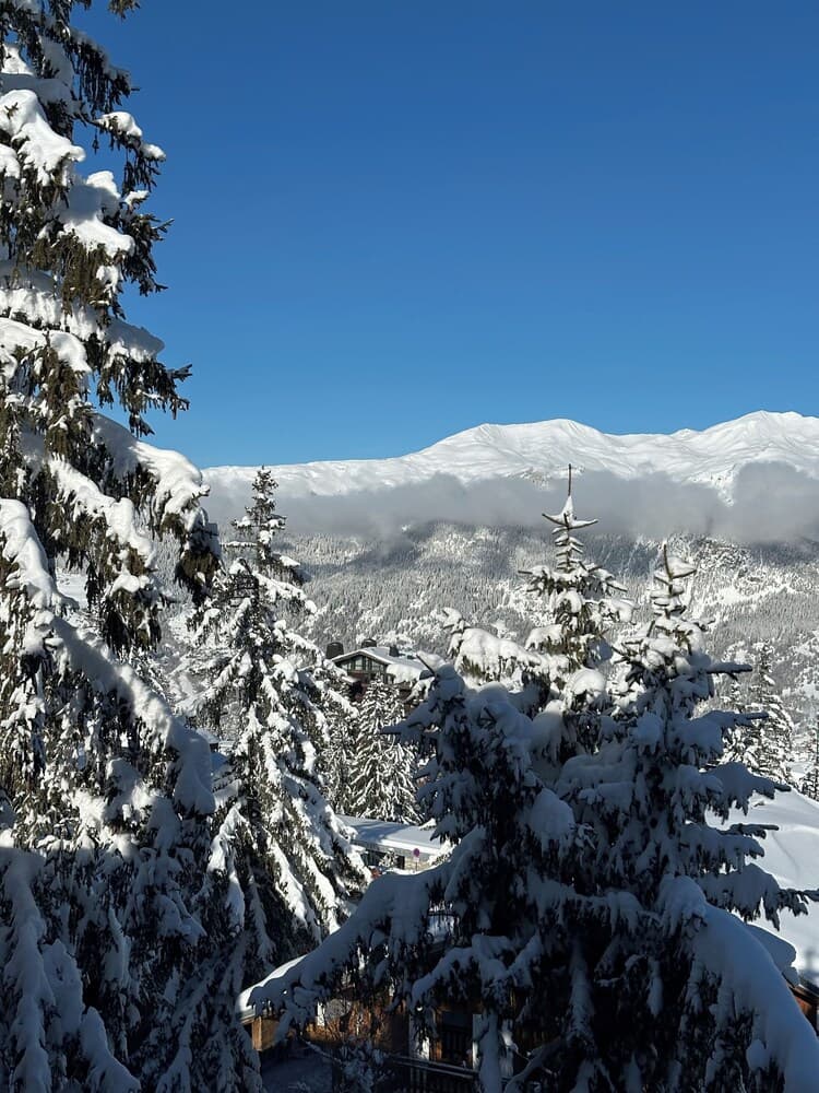 View from property