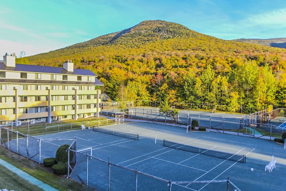 Tennis court