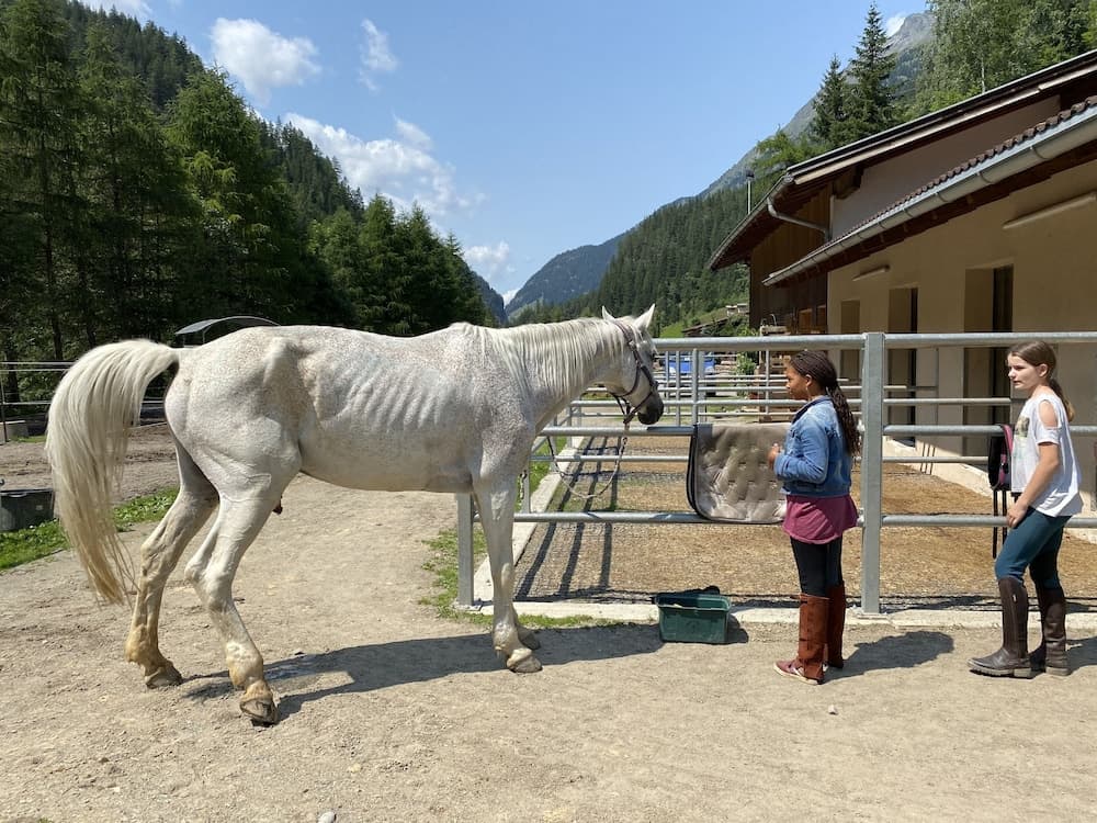 Horseback riding