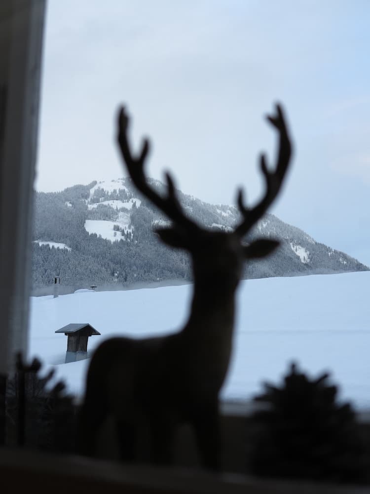 View from room