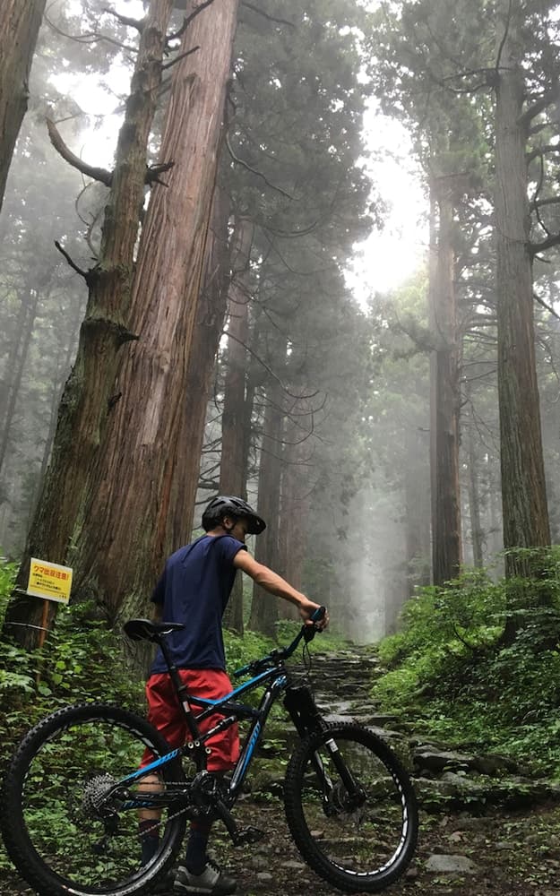 Bicycling