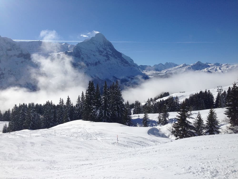 Snow and ski sports