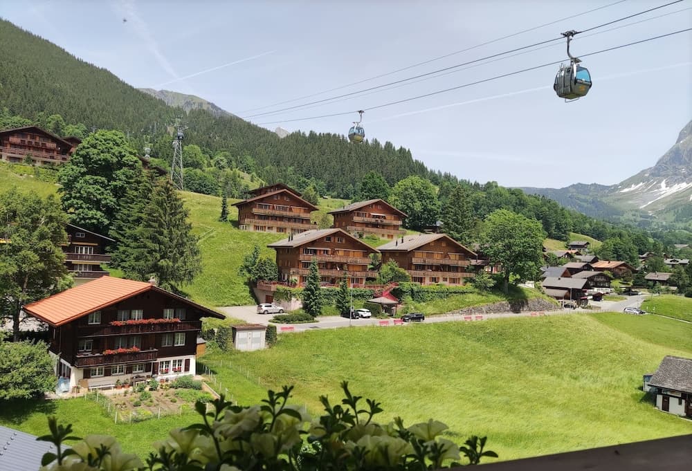Garden view