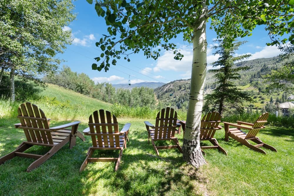 BBQ/picnic area