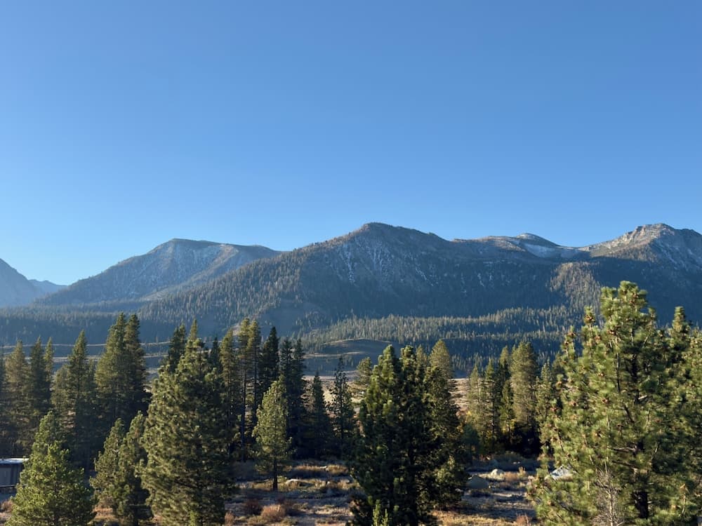 View from property