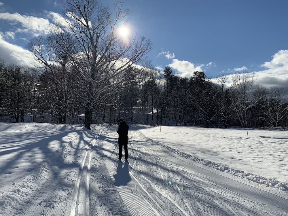 Skiing