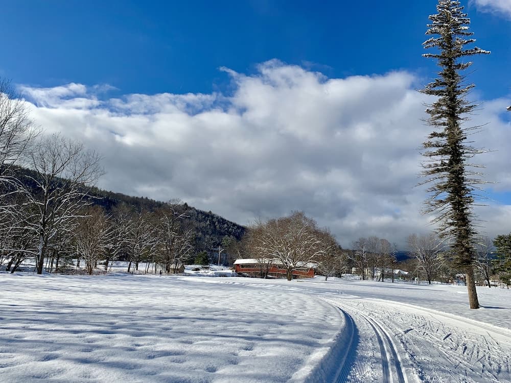 Snowshoeing