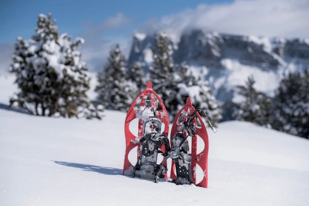 Snowshoeing