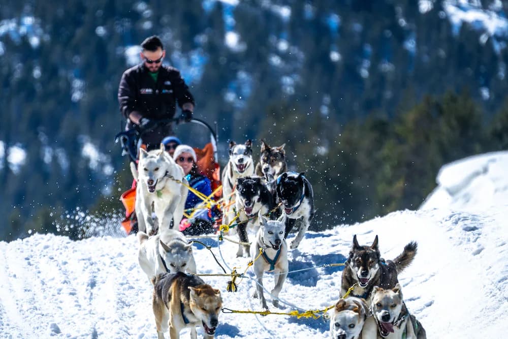 Snow and ski sports