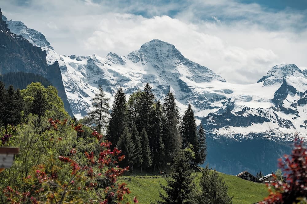 Mountain view