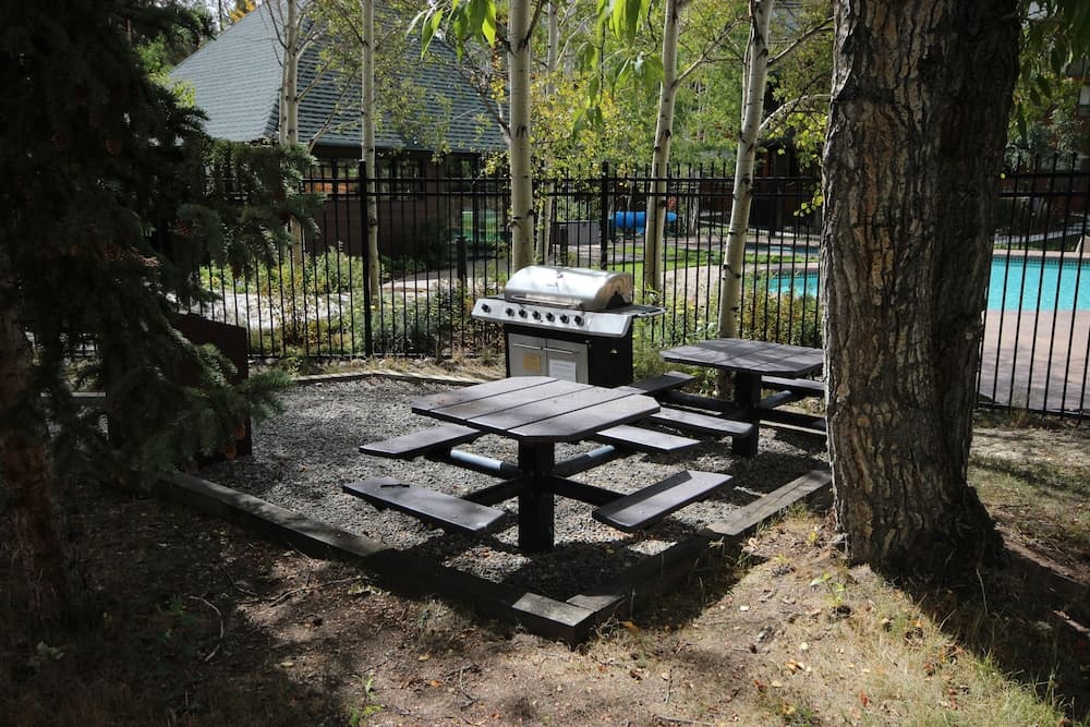 BBQ/picnic area