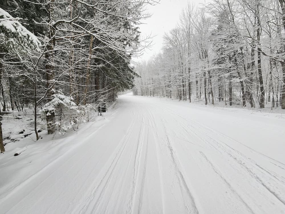 Skiing