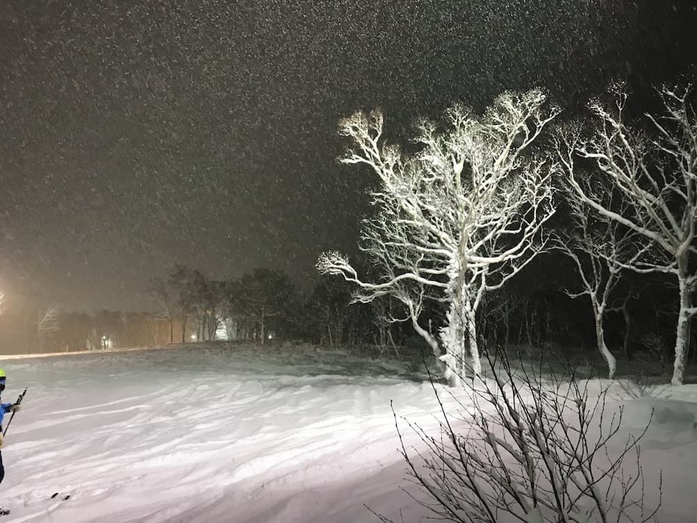 Snow and ski sports
