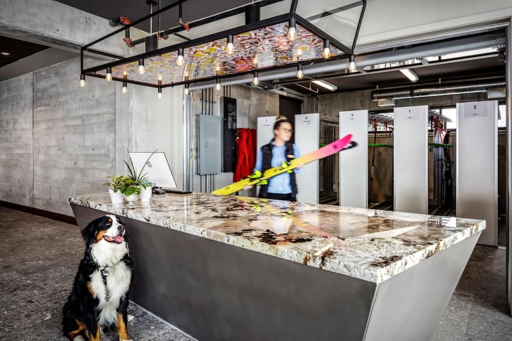 Pet-friendly