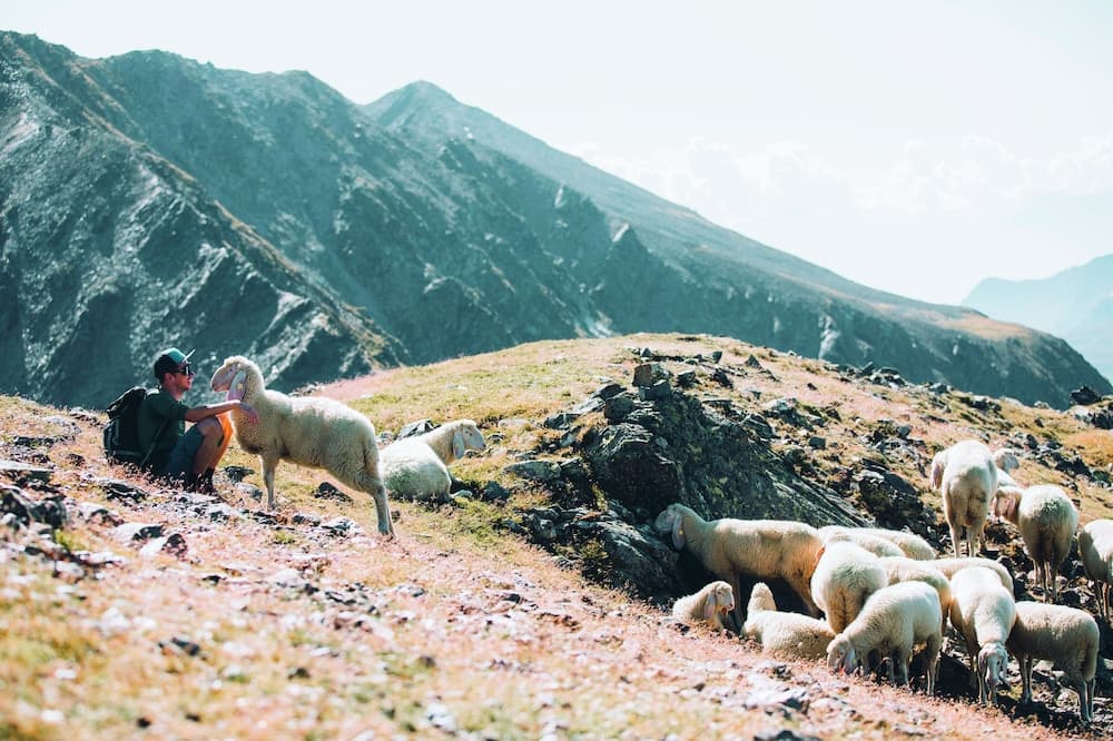 Hiking