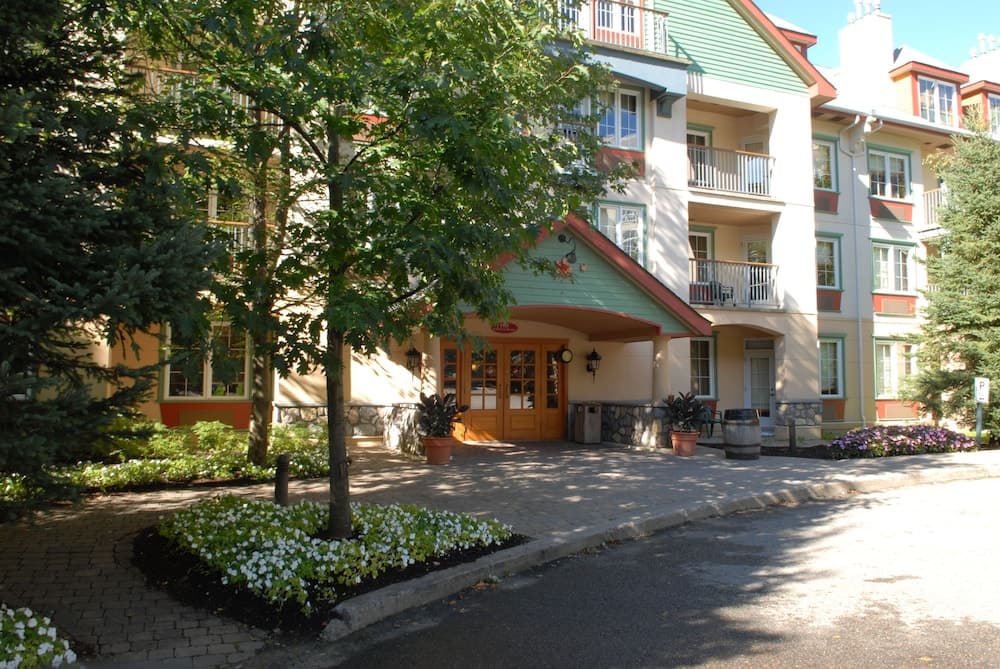 Primary image
