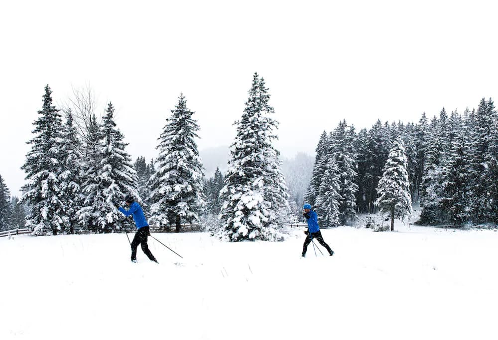 Skiing