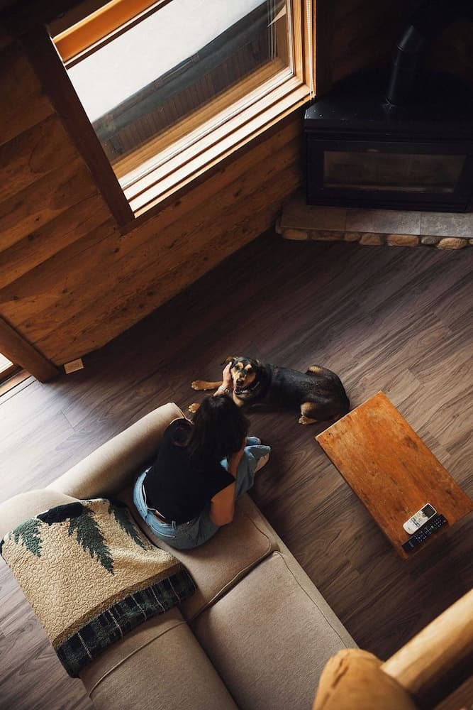 Pet-friendly