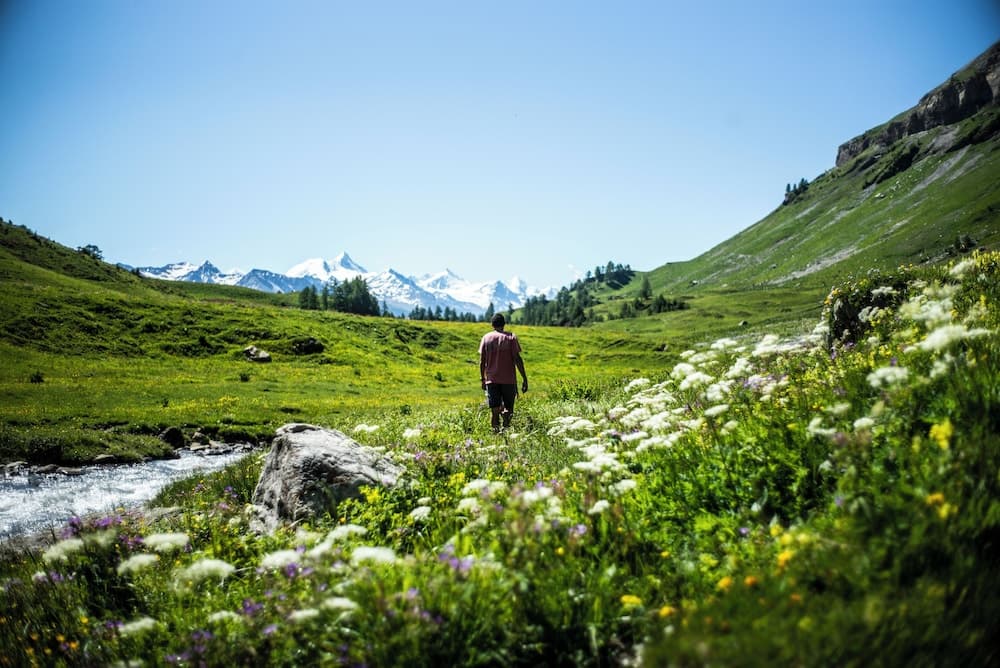 Hiking