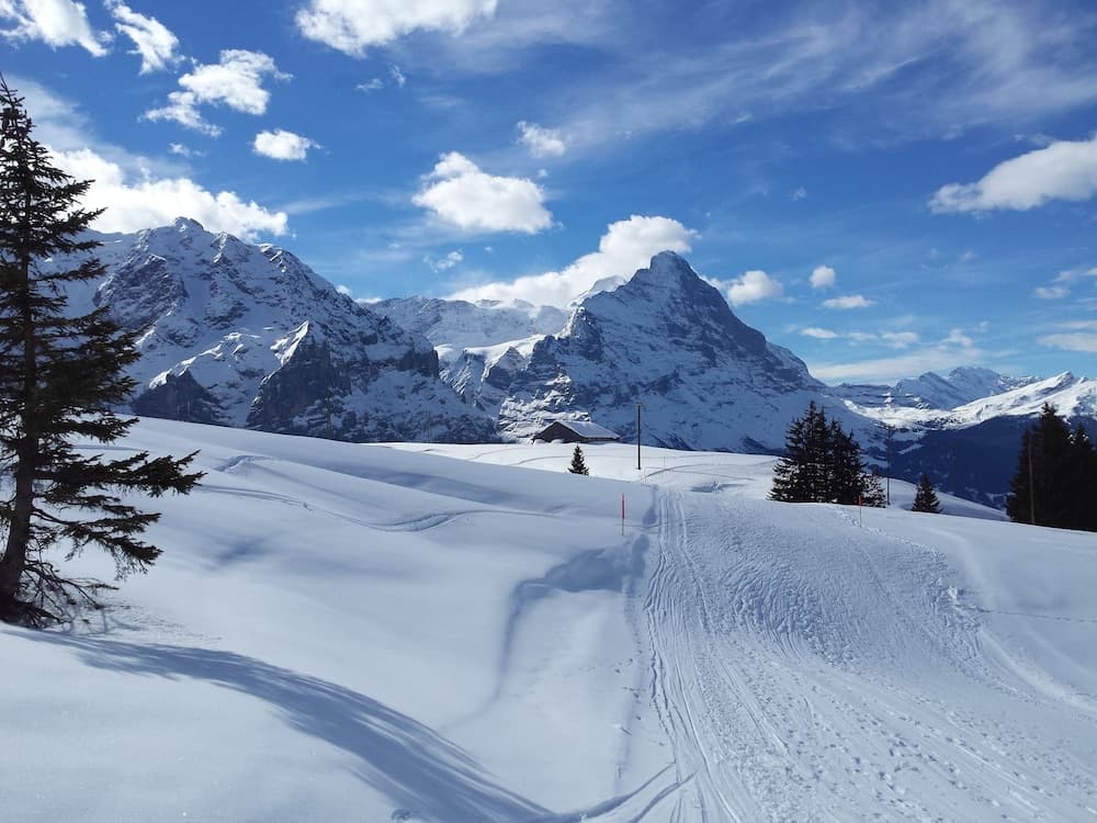 Snow and ski sports